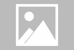 榆树头条最新爆料,揭秘重大事件背后真相！